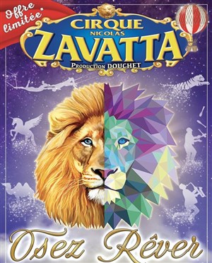 Affiche de Cirque Nicolas Zavatta Douchet | Chartres