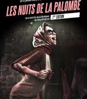 Affiche de Les nuits de la palombe