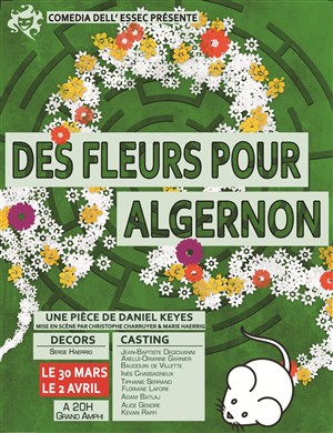 Affiche de Des Fleurs pour Algernon