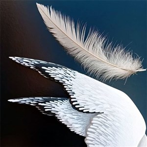 La mouette