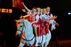 Affiche de Festival du Cirque en Sarthe