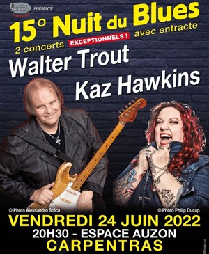 Affiche de Nuit du Blues de Carpentras