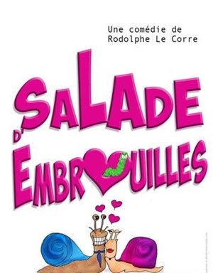 Affiche de Salade d'embrouilles