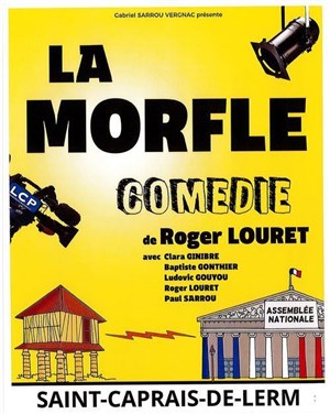 Affiche de La morfle