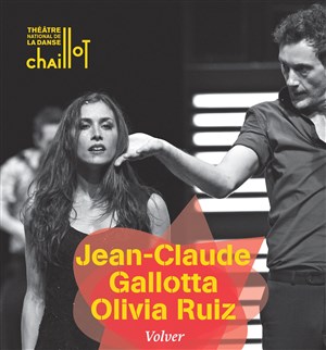 Affiche de Volver