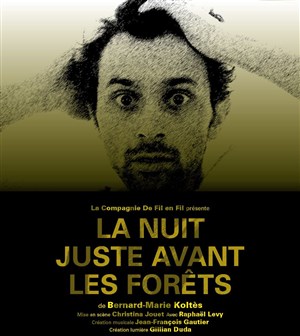Affiche de La nuit juste avant les forêts
