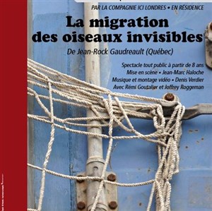 Affiche de La migration des oiseaux invisibles