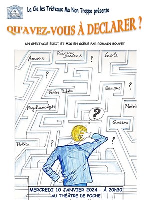 Affiche de Qu'avez-vous à déclarer ?