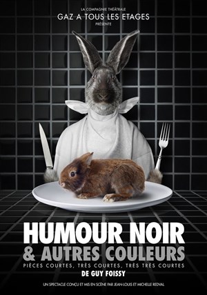 Affiche de Humour noir et autres couleurs | Pièces courtes, très courtes, très très courtes