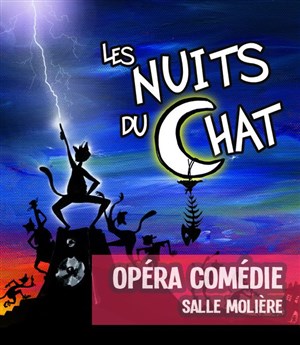 Affiche de Les nuits du chat