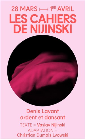 Affiche de Les cahiers de Nijinski