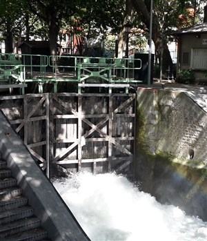 Affiche de Visite guidée : Le canal Saint-Martin | par Nathalie Gallois