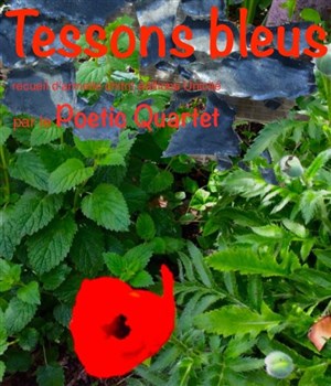 Affiche de Tessons Bleus