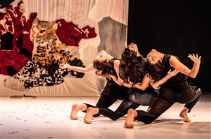 Affiche de MicroDanse #3