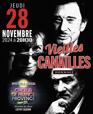 Affiche de Vieilles canailles