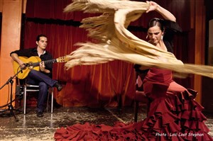Affiche de Spectacle de Flamenco