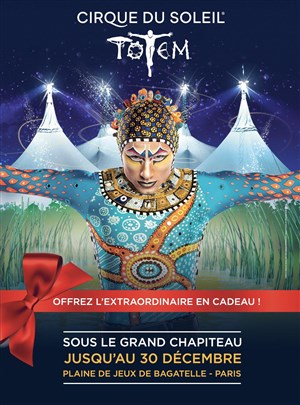Affiche de Le Cirque du Soleil dans Totem