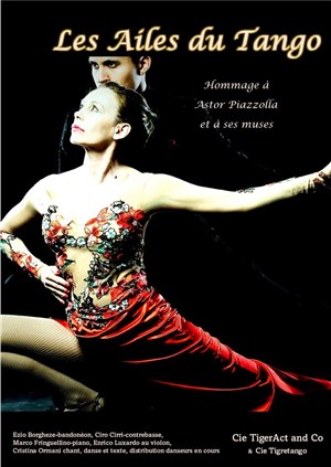 Affiche de Les Ailes du Tango