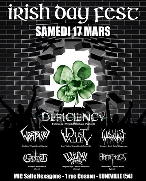 Affiche de Irish Day Fest