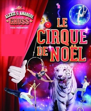 Affiche de Cirque de Noël 2016