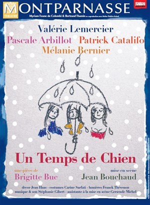 Affiche de Un temps de Chien | avec Valérie Lemercier | Les Dernières