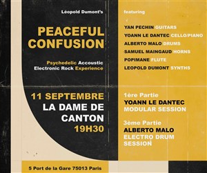 Affiche de Peaceful Confusion