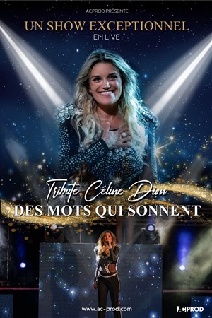 Affiche de Des mots qui sonnent : Tribute Celine Dion