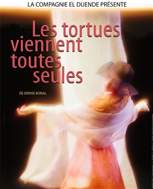 Affiche de Les tortues viennent toutes seules