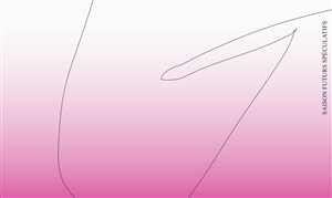 Affiche de Labo_Demo #2 : Entaille dans la création visuelle émergente