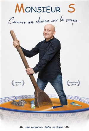 Affiche de Monsieur S. dans Comme un cheveu sur la soupe