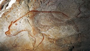 Affiche de La grotte Chauvet et le culte de l'ours dans la préhistoire et l'histoire