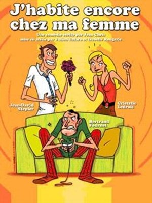Affiche de J'habite encore chez ma femme