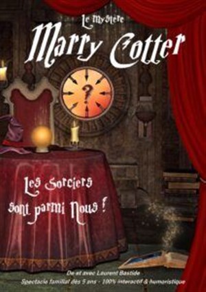 Affiche de Le mystère de Marry Cotter