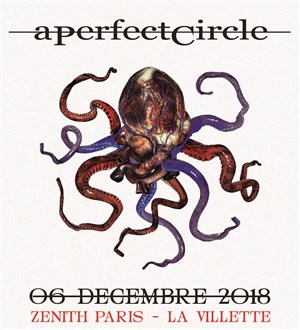 Affiche de A Perfect Circle