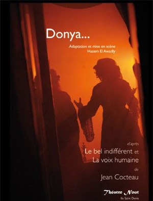 Affiche de Le bel indifférent