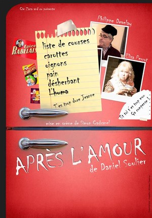 Affiche de Après l'amour