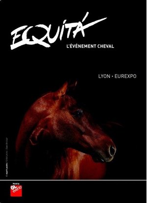 Affiche de Grand prix Freestyle