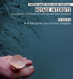 Affiche de Noyade interdite