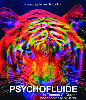Affiche de Psychofluide