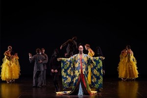 Affiche de Le Ballet royal de la Nuit