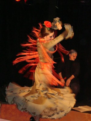 Affiche de Vuelo flamenco | Les Rendez-vous d'ailleurs