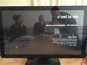 Affiche de C'est la vie
