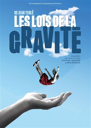 Affiche de Les lois de la gravité