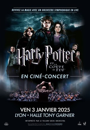 Affiche de Harry Potter et la coupe de Feu en ciné-concert | Lyon