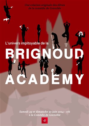 Affiche de L'univers impitoyable de la Brignoud Academy