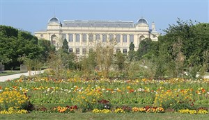 Affiche de Visite guidée : Jardin de Sciences, Jardin des Plantes | par Pauline Lebourcq