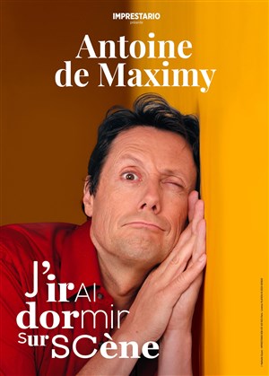 Affiche de Antoine de Maximy dans J'irai dormir sur scène