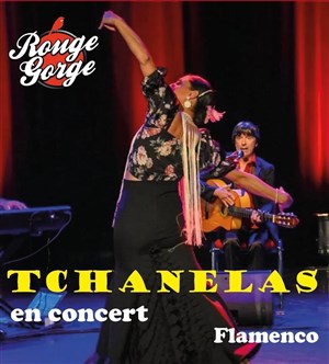 Affiche de Tchanelas en concert