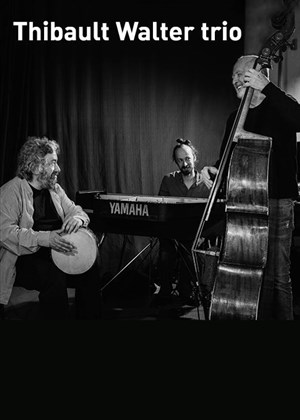 Affiche de Thibault Walter trio