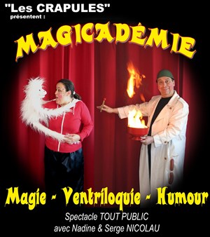 Affiche de Magic Academy
